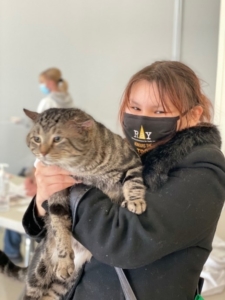A young person holds a very large grey and brown tabby cat named Golias. He looks like he is watching something across the room very intently. The young person is wearing a black face mask with the RaY logo on it and her eyes are smiling. 